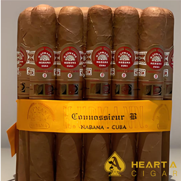 H.UPMANN Connossieur B 鉴赏家B 25s/盒(安道尔行货)预售一个月内发货