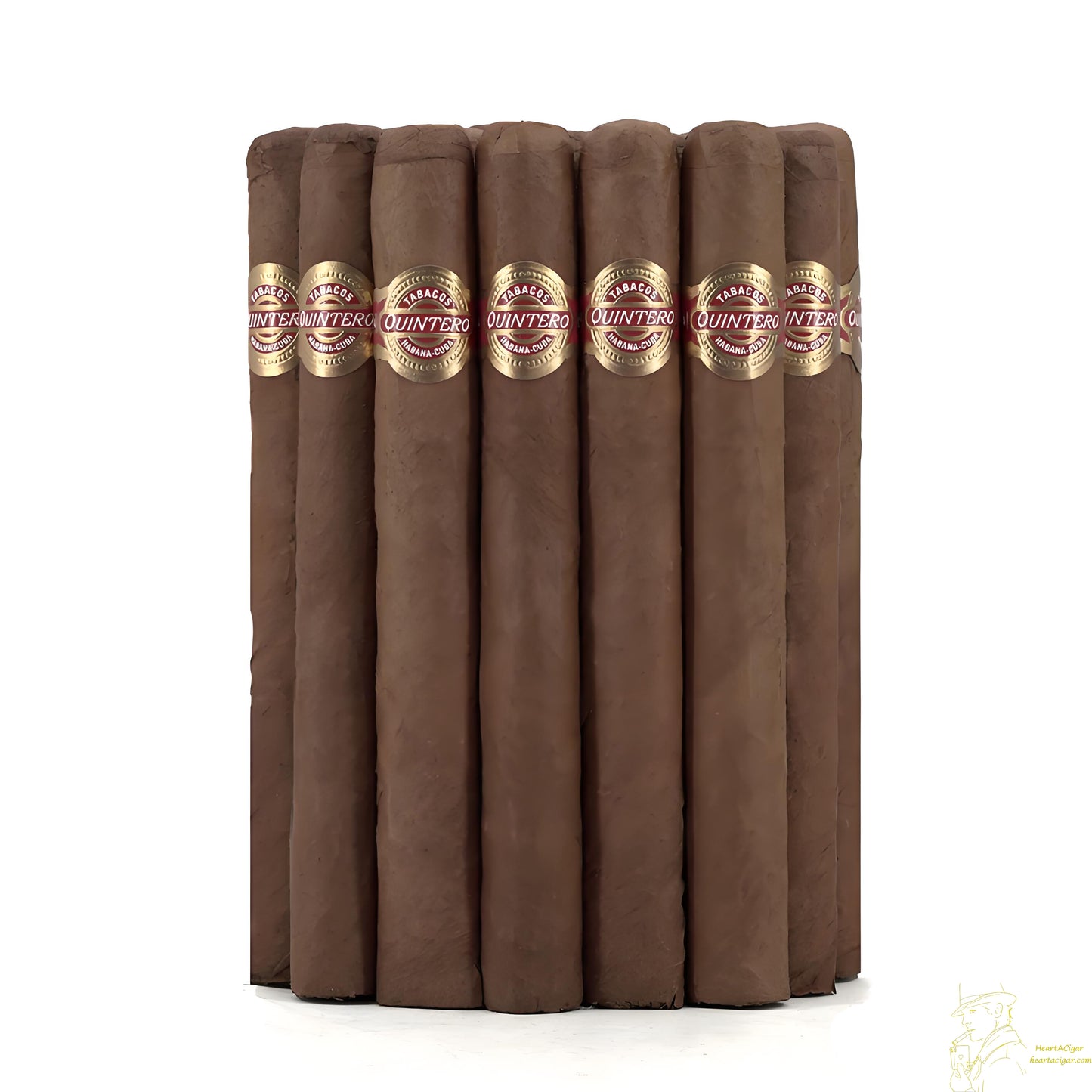 QUINTERO Y HNO Brevas 25s 金特罗 比华士 25支/盒(西班牙行货)