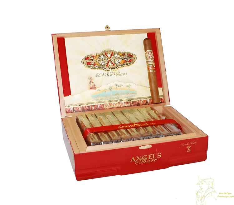 每周上新 · 限时尊享