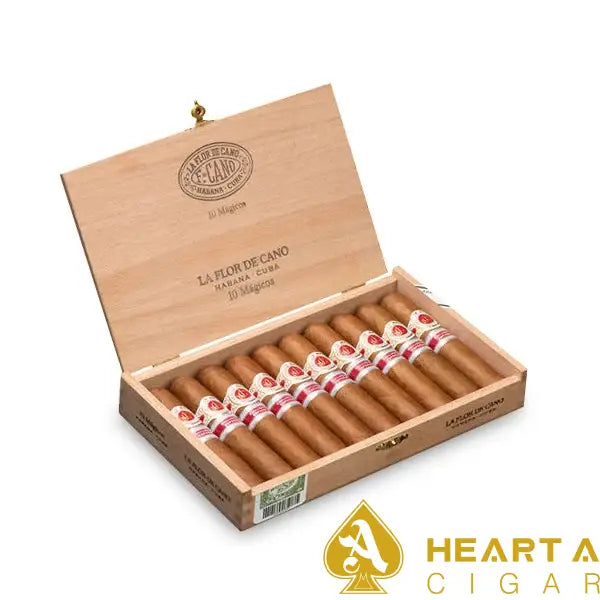 La Flor de Cano Mágicos 2018  10s卡诺之花魔术师10支/盒（西班牙行货）预售