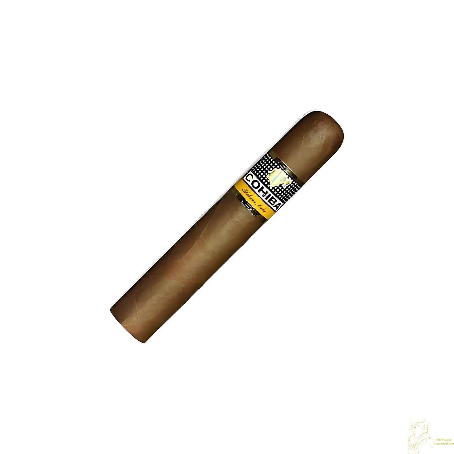 COHIBA ROBUSTOS 25s 高希霸 罗布图 25支/盒