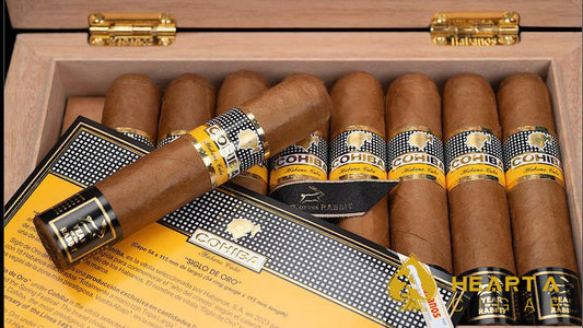 Cohiba Siglo De Oro Año Chino 黄金中国年 18支/盒（巴塞罗那）