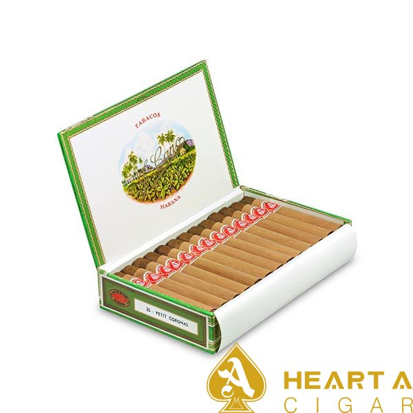 FLOR DE CANO Petit Coronas  卡诺之花小皇冠 25s/盒(西班牙行货)