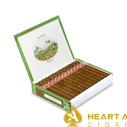 FLOR DE CANO Selectos 卡诺之花 特选 25s/盒(西班牙行货)