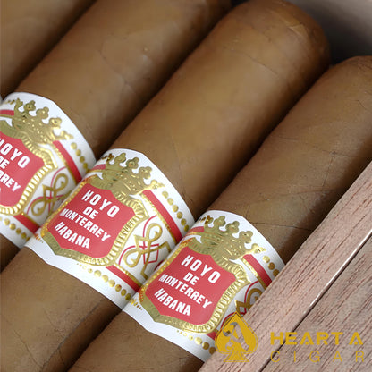HOYO DE MONTERREY Primaveras 18s 好友蒙特雷 春天 18支/盒(西班牙行货）
