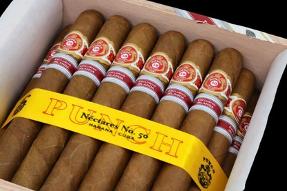 PUNCH Nectares No. 50 Edicion Regional Irlanda 50s潘趣50公顷爱尔兰地限50支/盒（爱尔兰HF）限量
